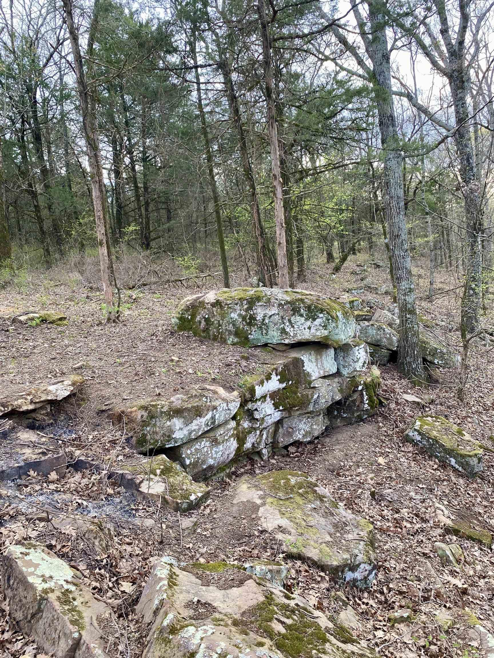 918 Citadel Bluff Trail  Cecil, AR