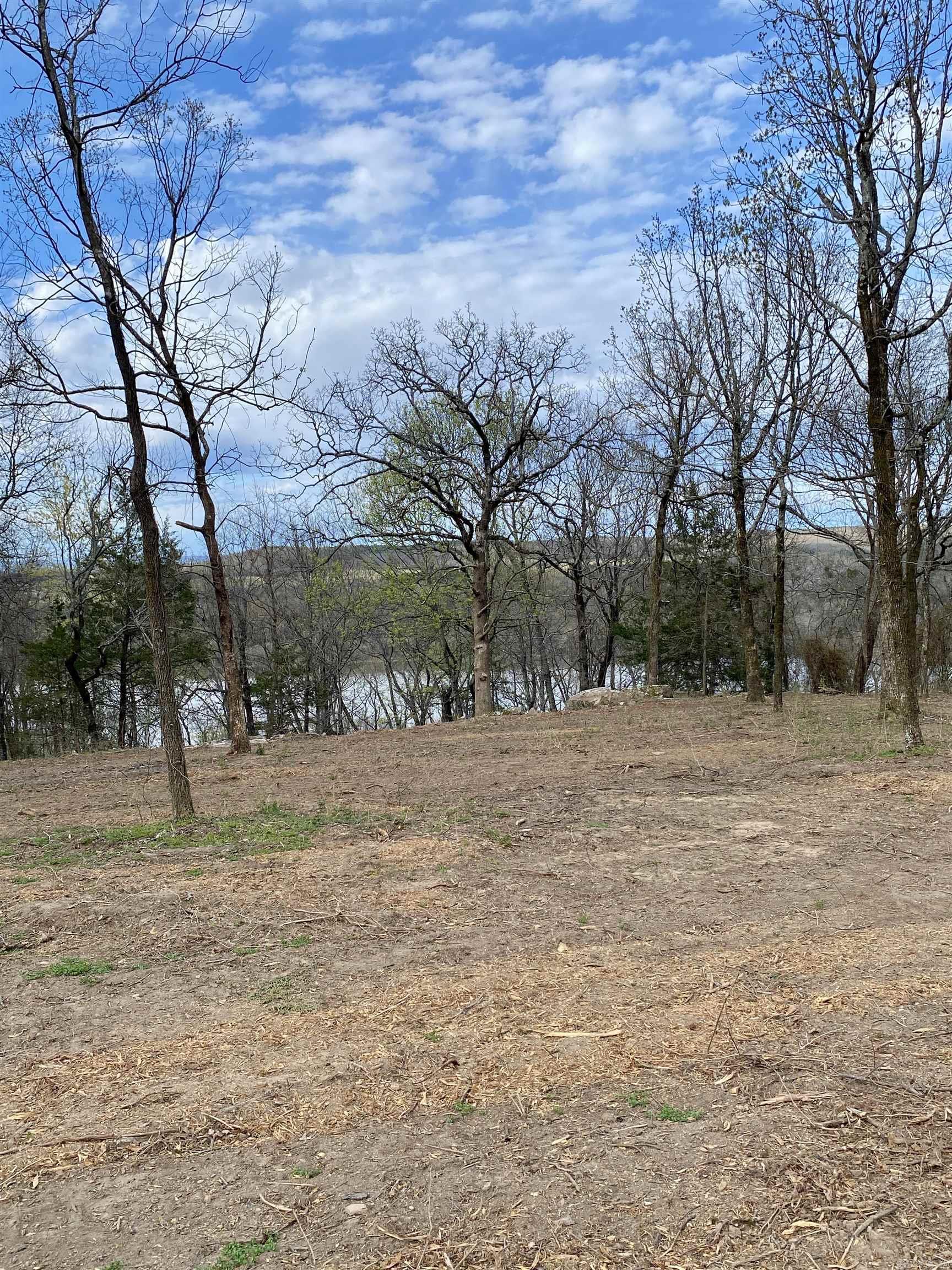 918 Citadel Bluff Trail  Cecil, AR