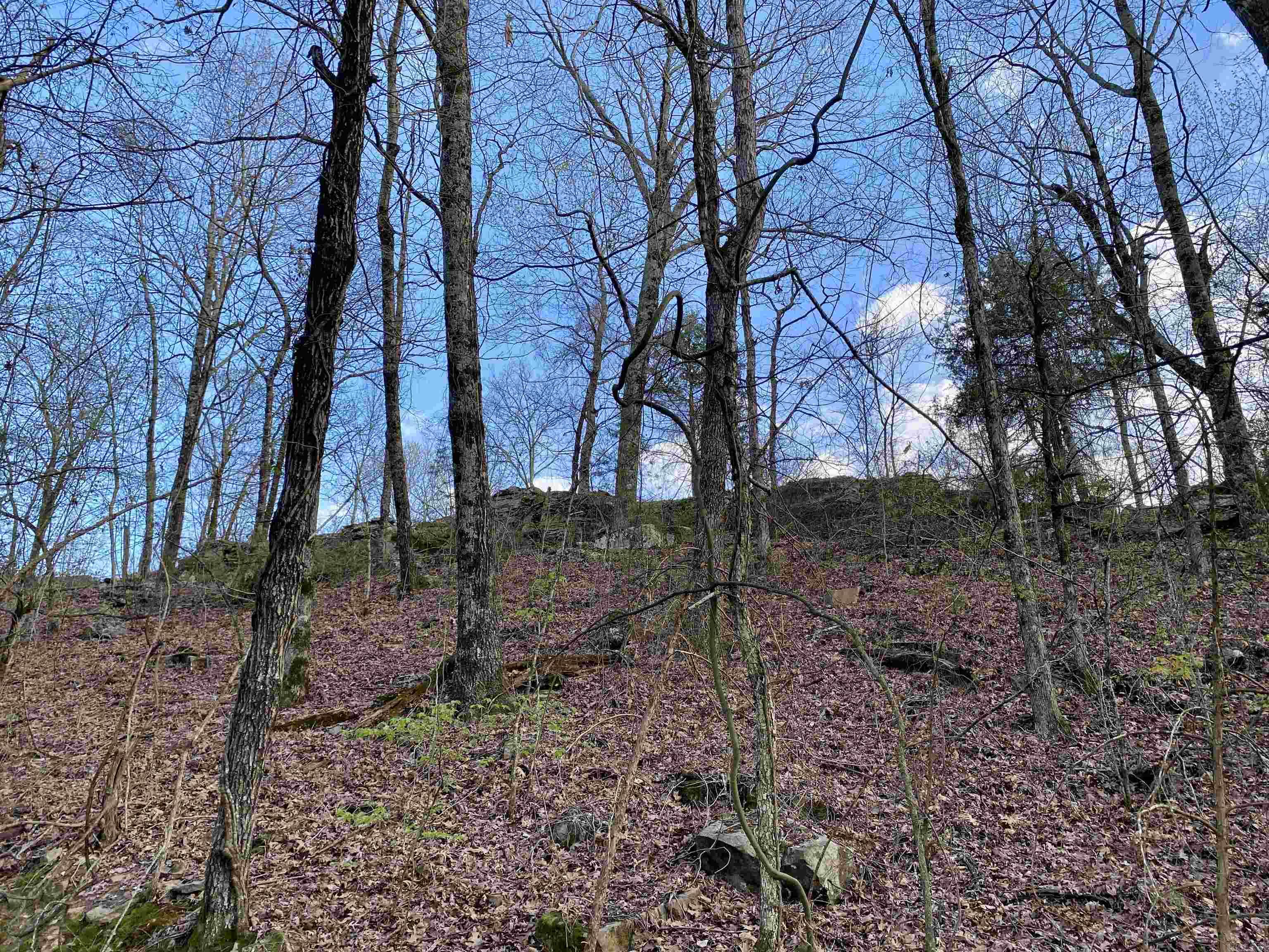 918 Citadel Bluff Trail  Cecil, AR