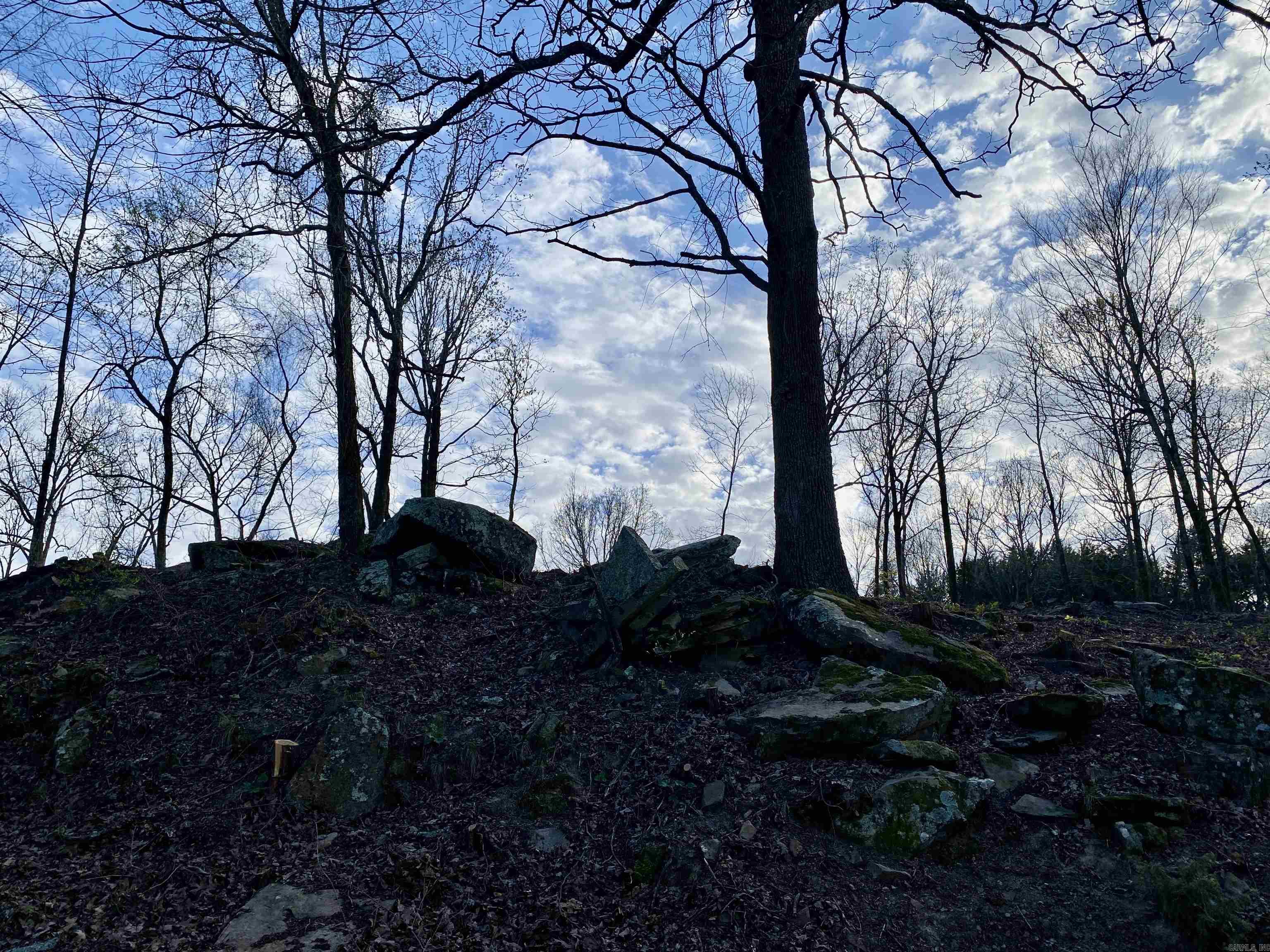 918 Citadel Bluff Trail  Cecil, AR