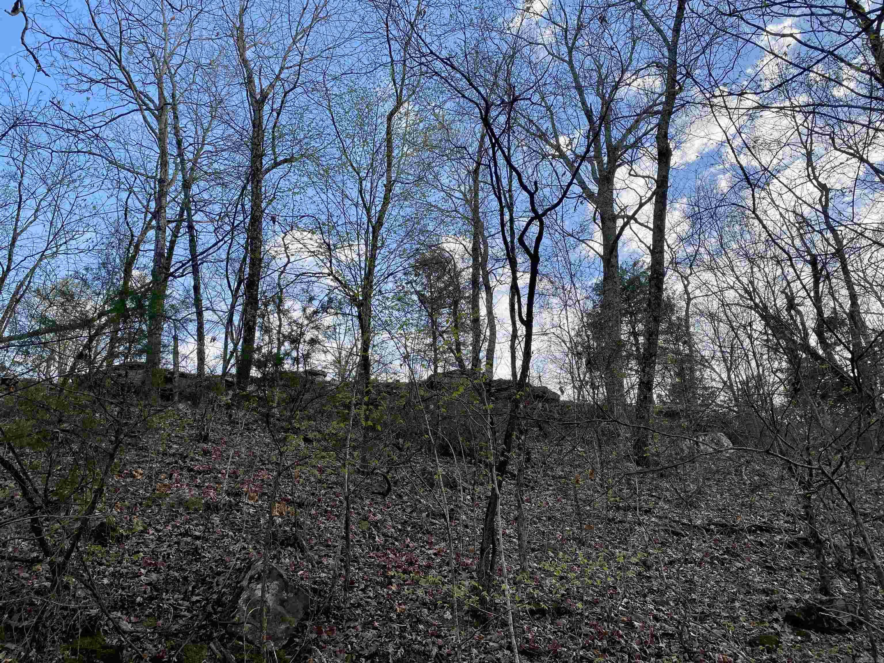 918 Citadel Bluff Trail  Cecil, AR