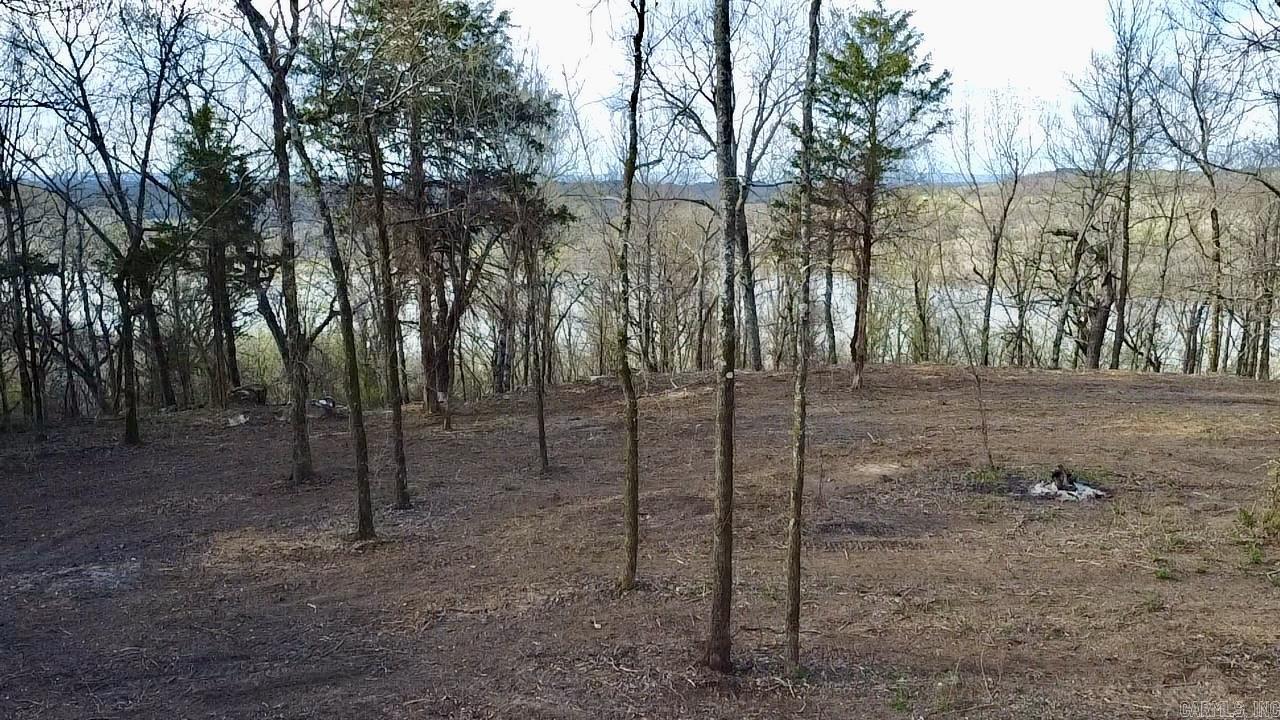 918 Citadel Bluff Trail  Cecil, AR