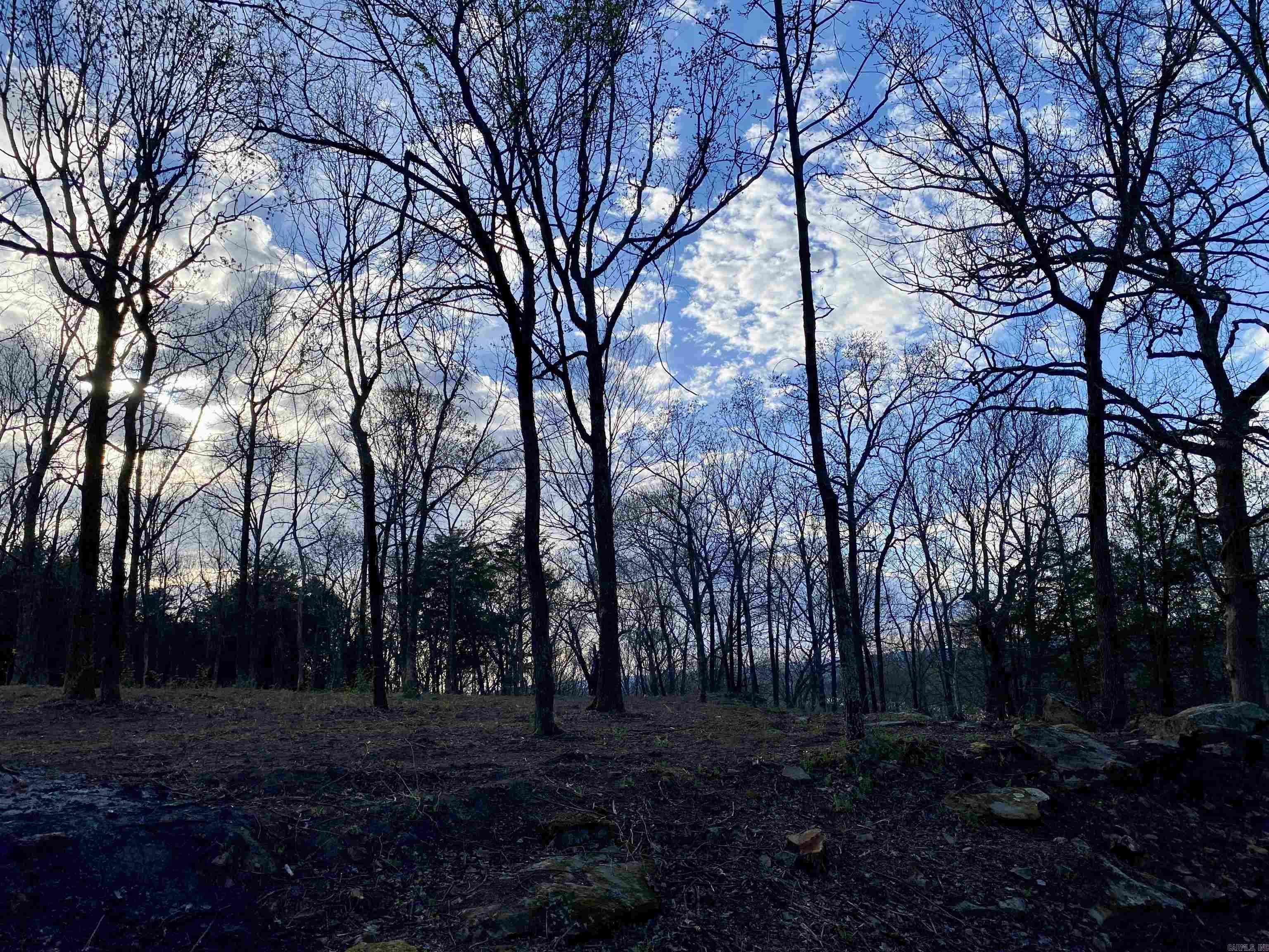 918 Citadel Bluff Trail  Cecil, AR