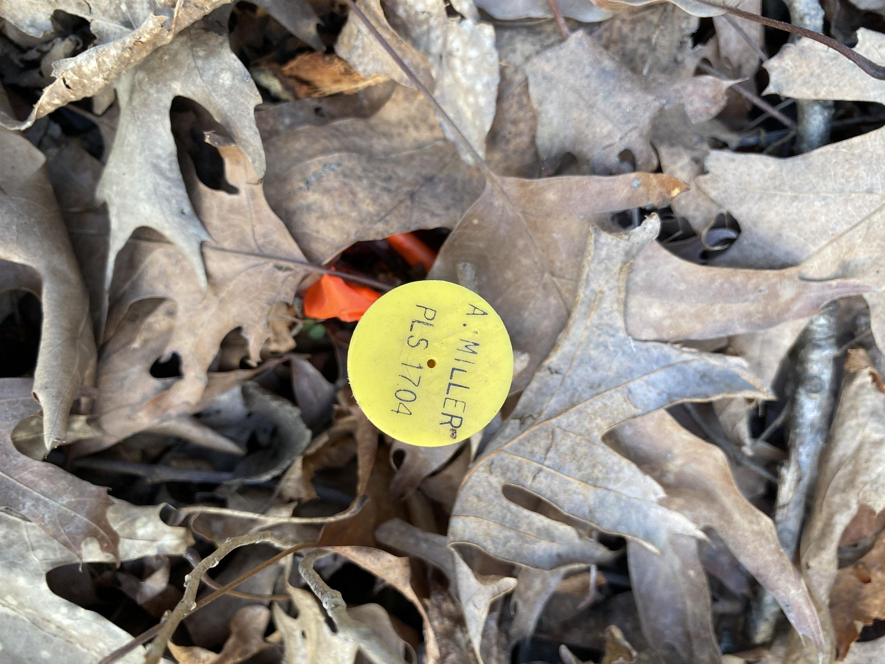 918 Citadel Bluff Trail  Cecil, AR