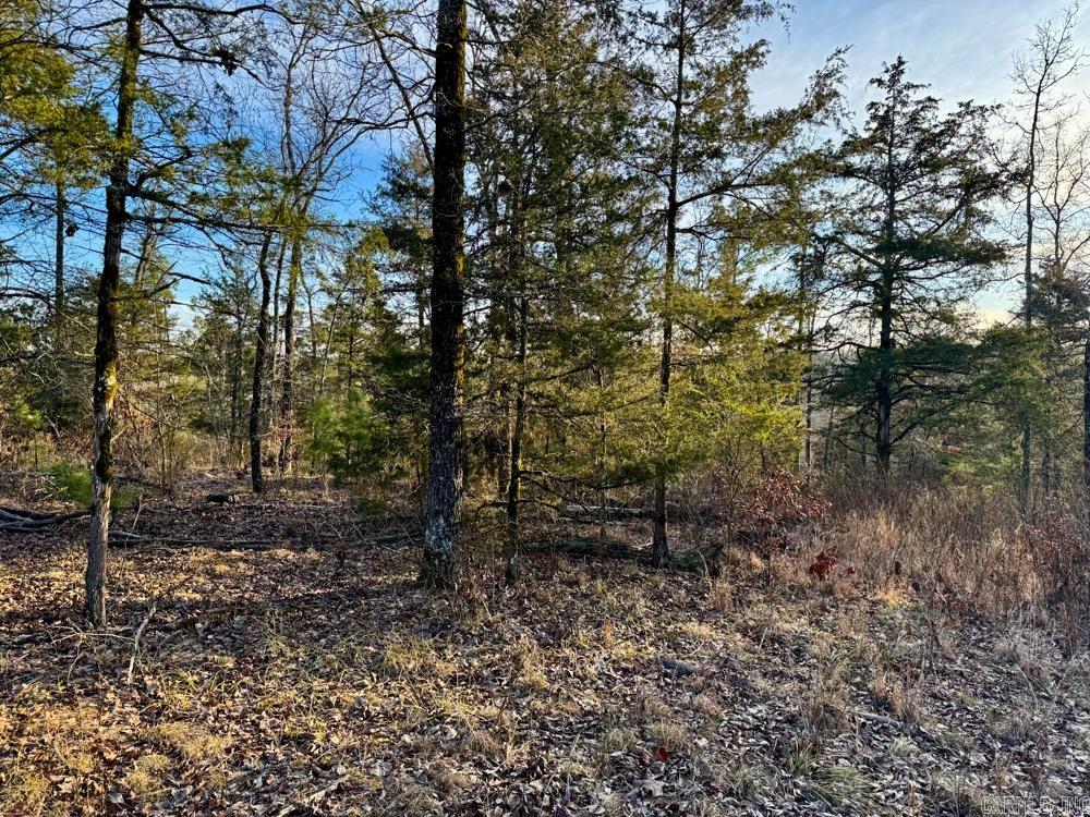 000 Flint  Scotland, AR