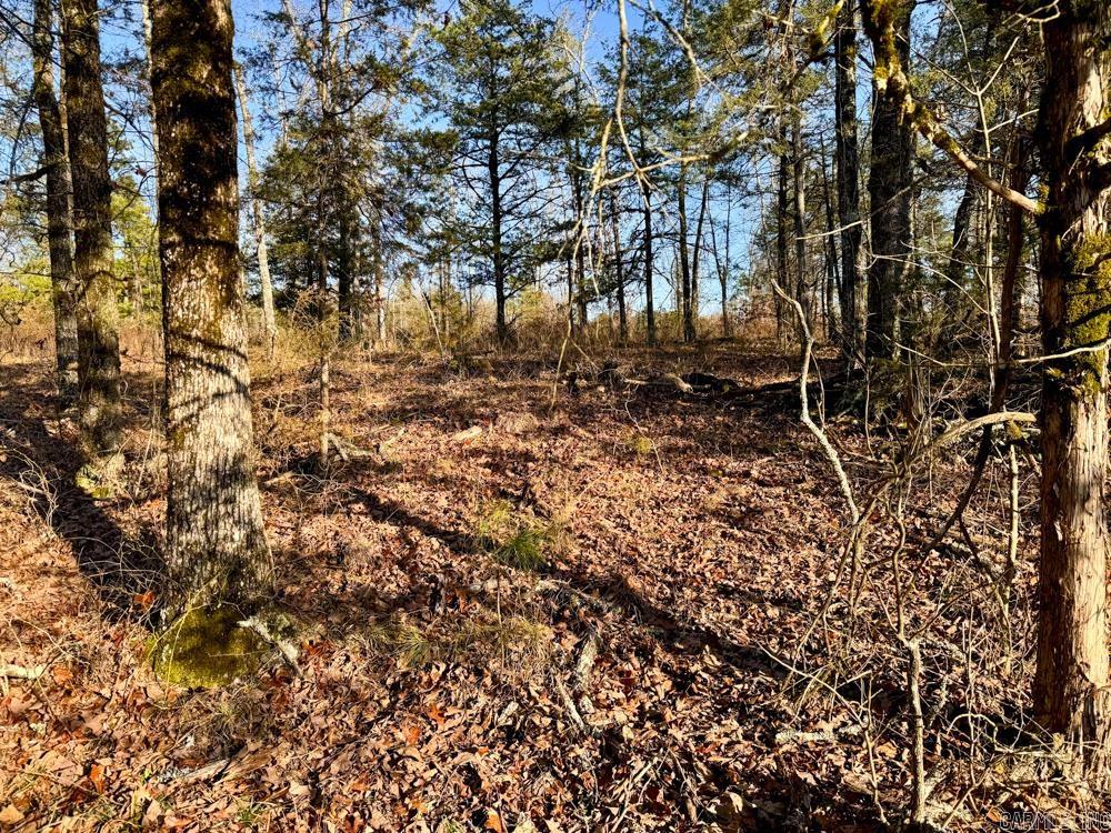 000 Flint  Scotland, AR