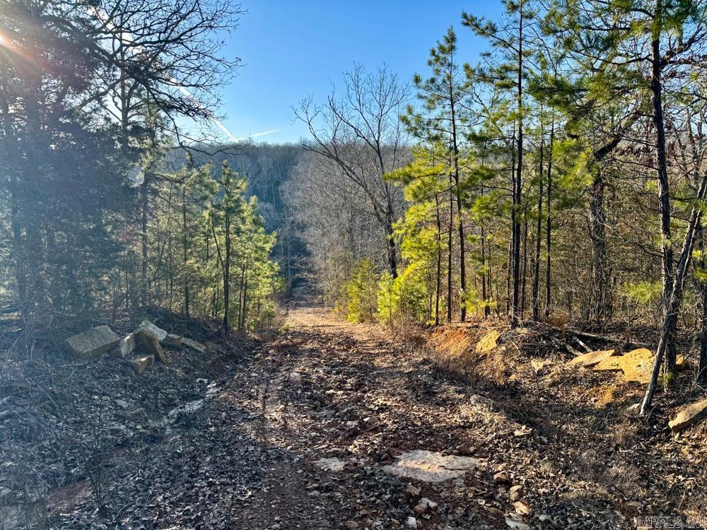 000 Flint  Scotland, AR