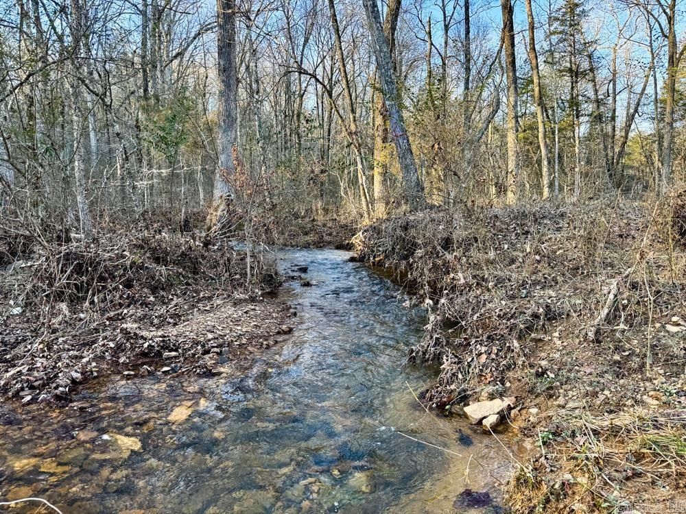 000 Flint  Scotland, AR