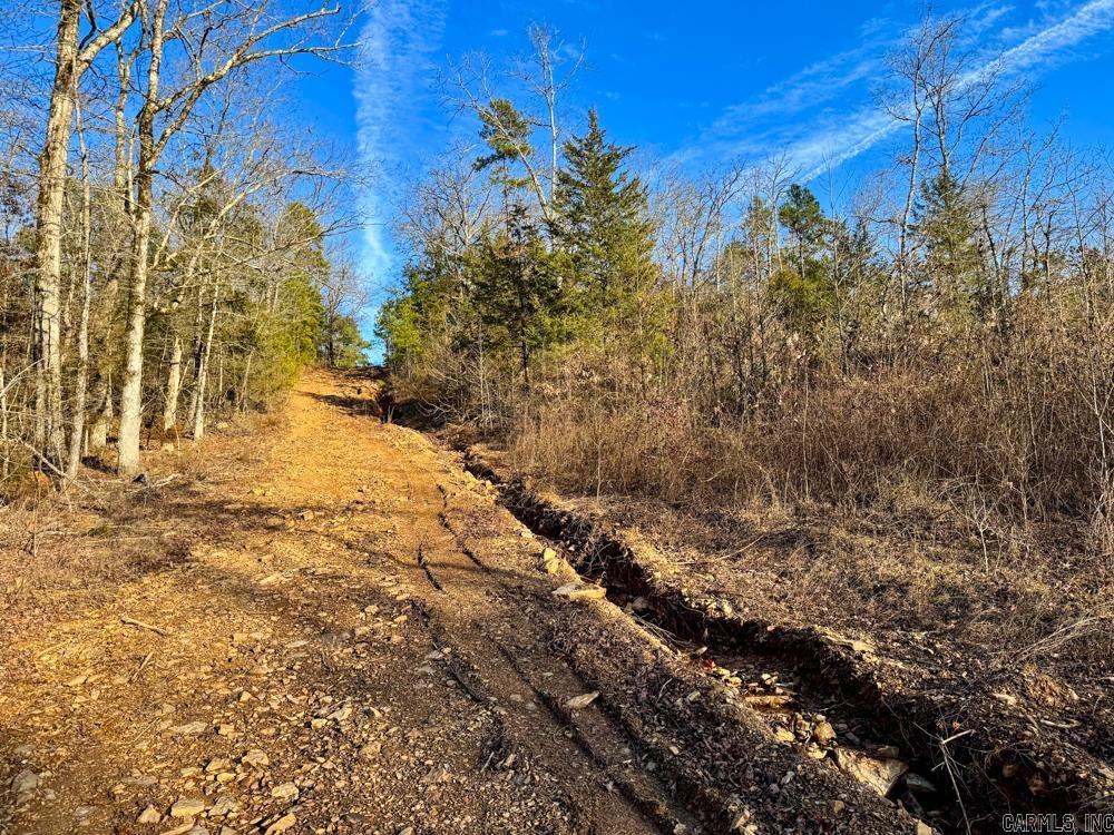 000 Flint  Scotland, AR