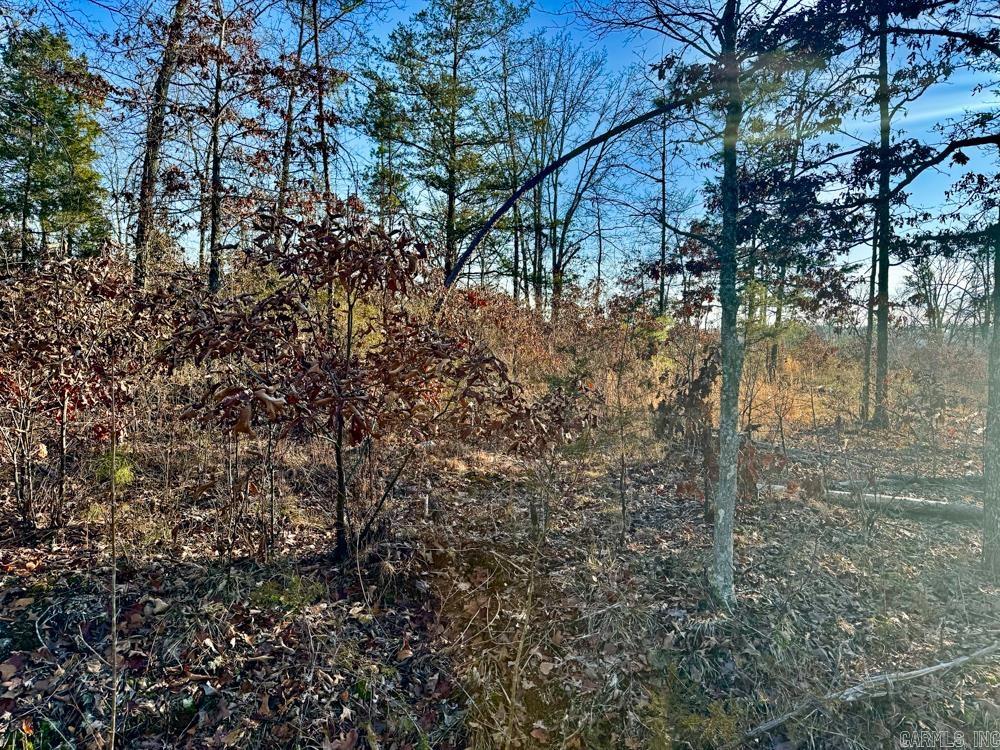 000 Flint  Scotland, AR