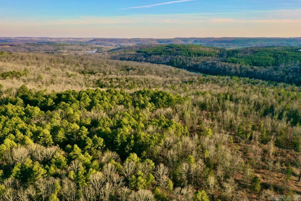 000 Flint  Scotland, AR