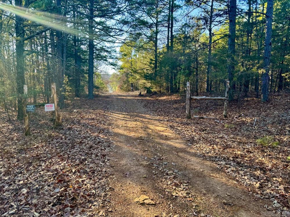 000 Flint  Scotland, AR