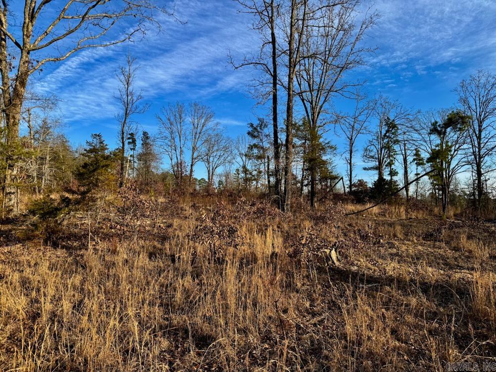 000 Flint  Scotland, AR