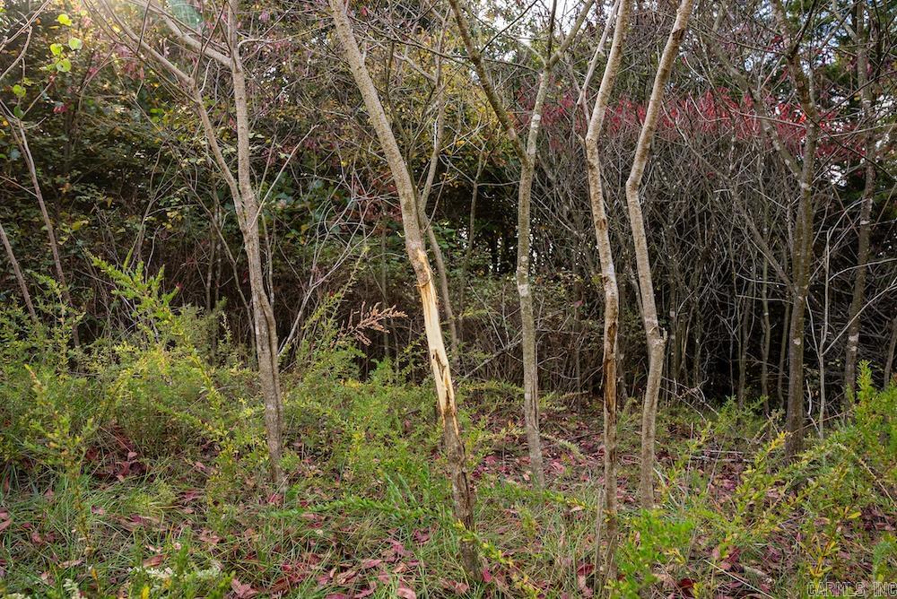 n/a CR 663  Oak Grove, AR