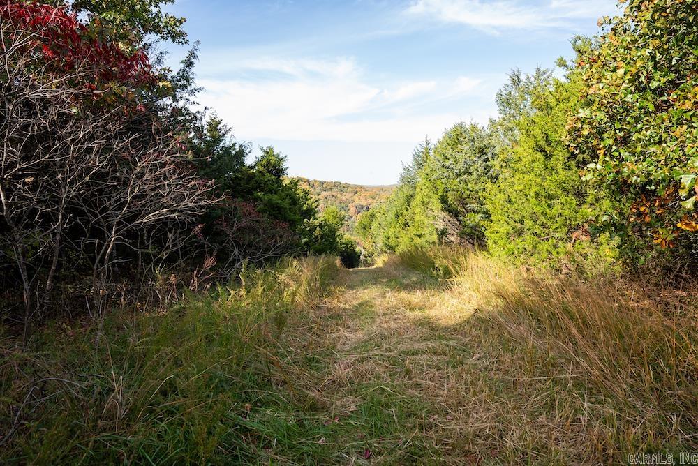 n/a CR 663  Oak Grove, AR