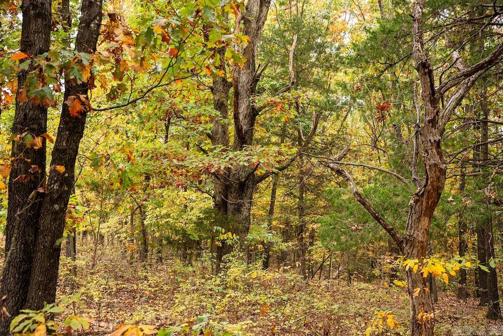 n/a CR 663  Oak Grove, AR