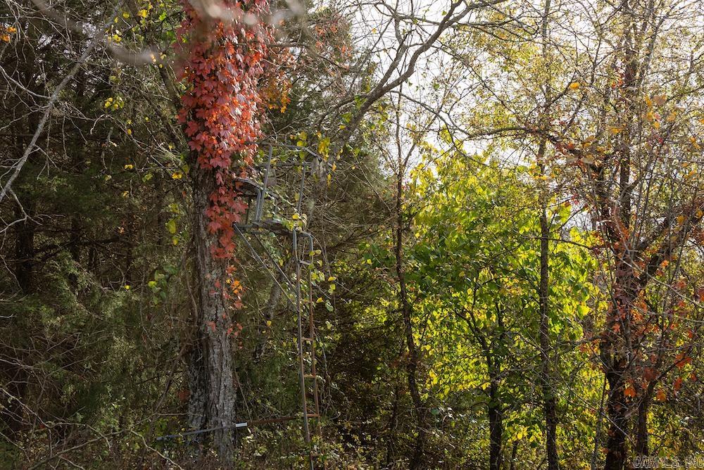 n/a CR 663  Oak Grove, AR