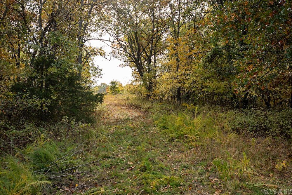 n/a CR 663  Oak Grove, AR