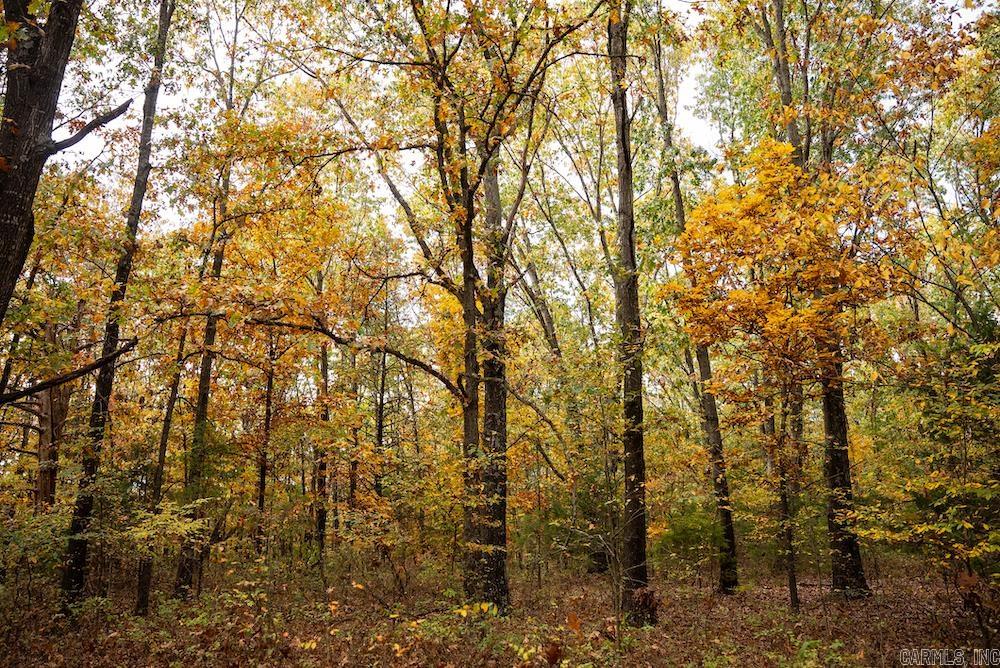 n/a CR 663  Oak Grove, AR