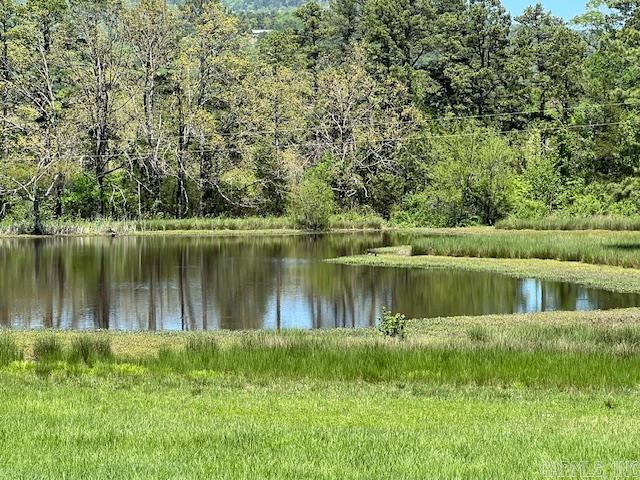 164 Polk Road 714 Mena, AR 71953