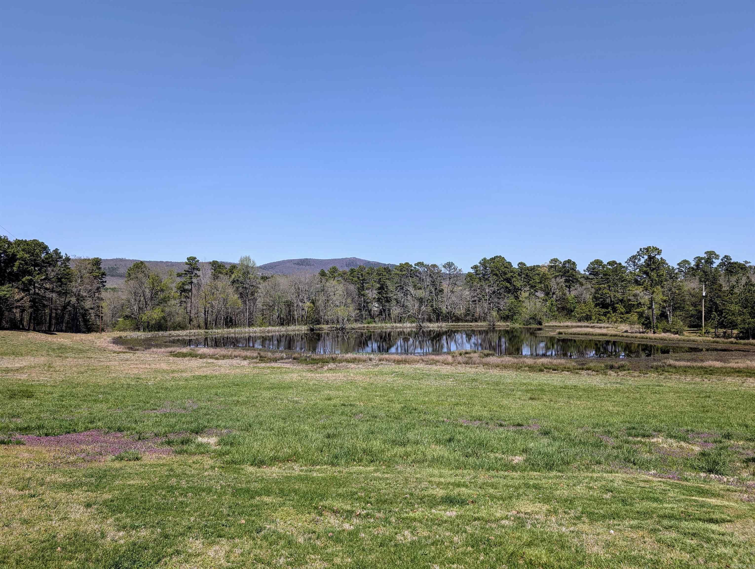 164 Polk Road 714 Mena, AR 71953