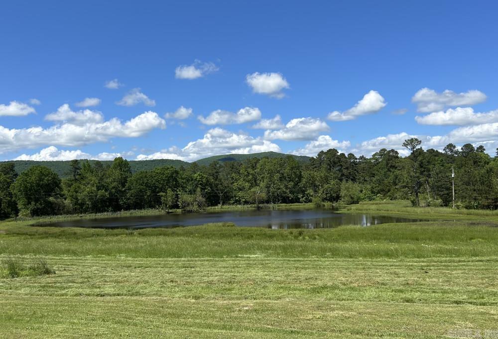 164 Polk Road 714 Mena, AR 71953