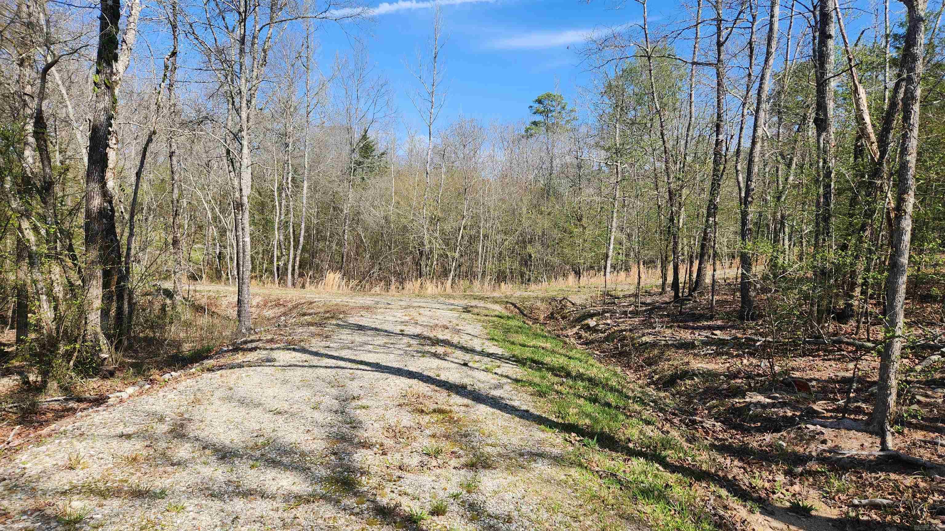 48 Reva's Way  Story, AR