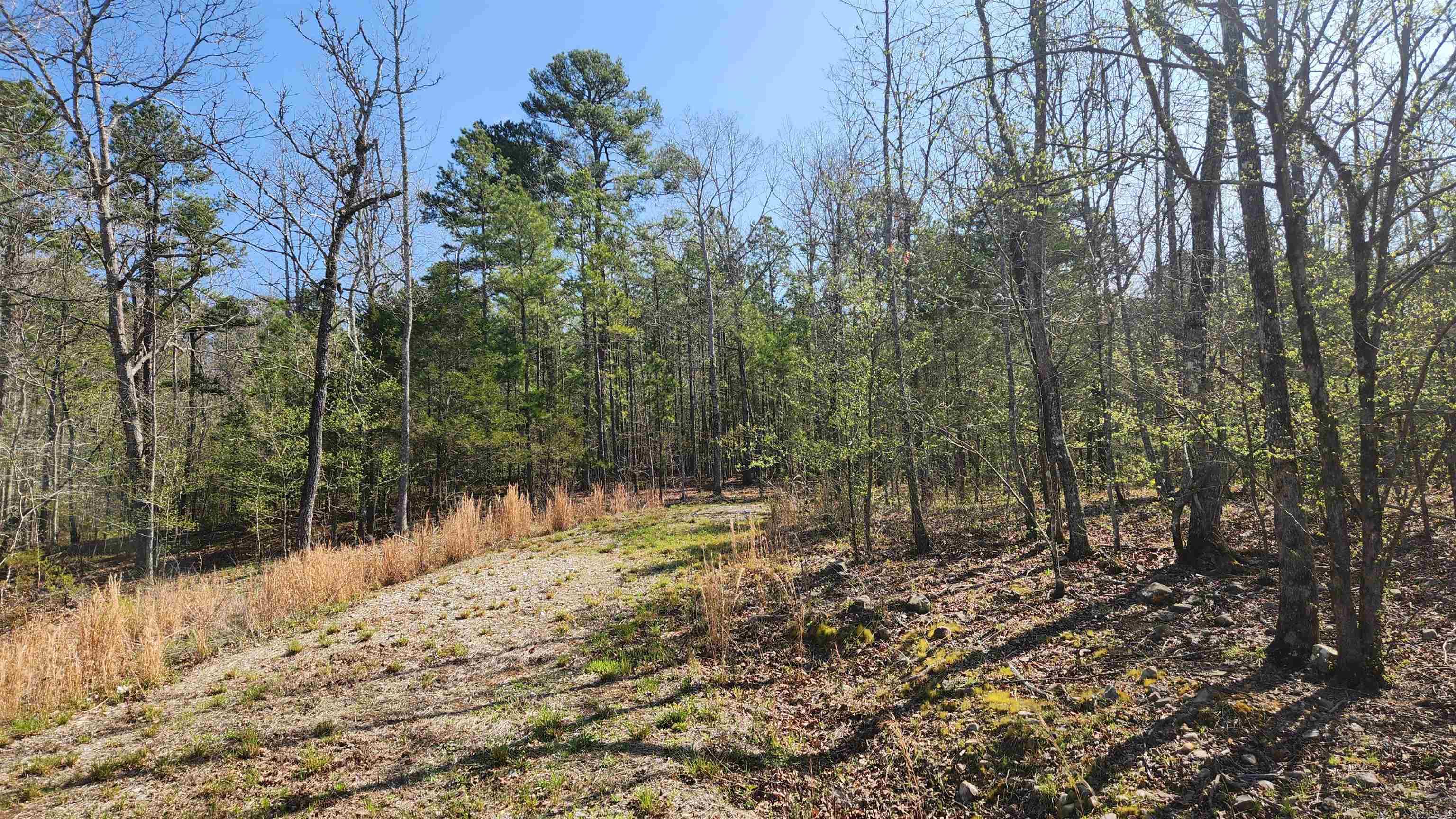 48 Reva's Way  Story, AR