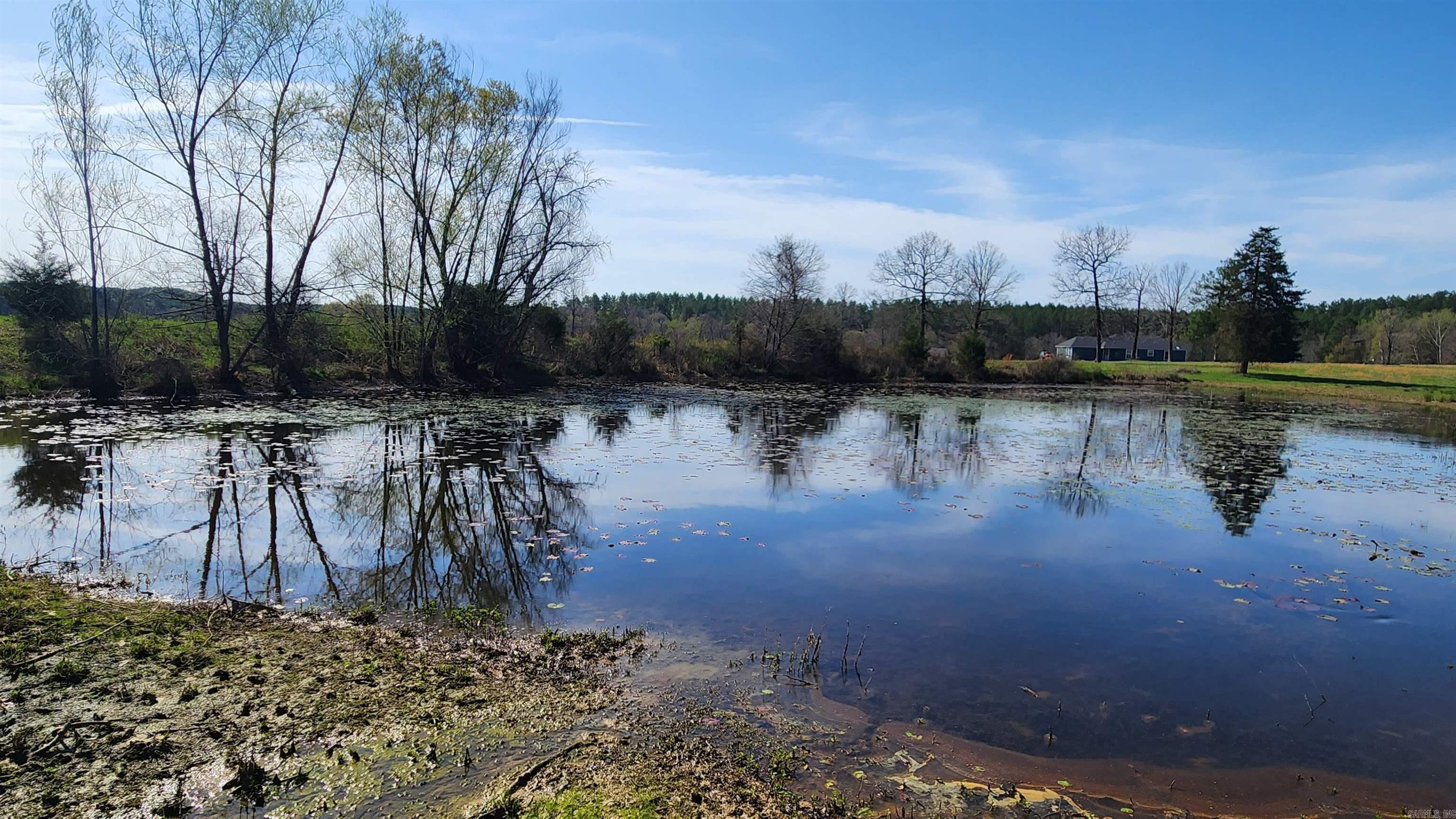 48 Reva's Way  Story, AR