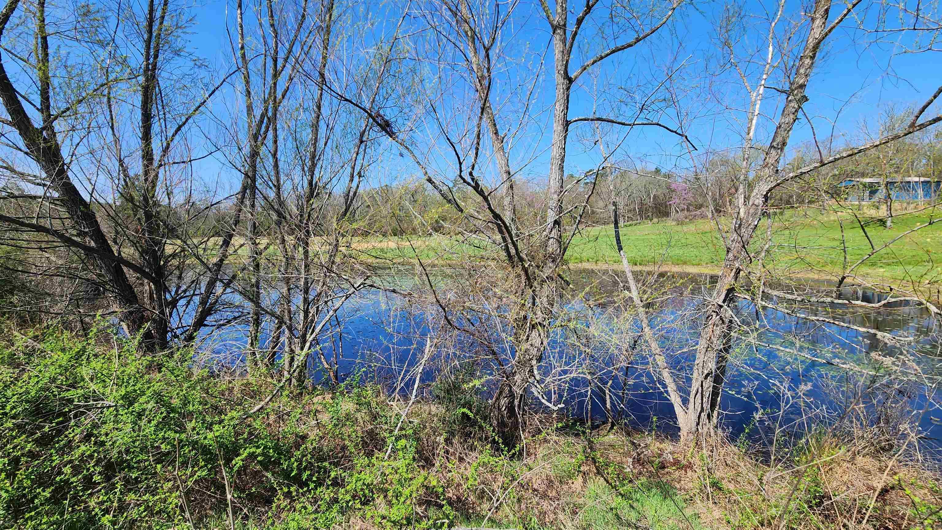 48 Reva's Way  Story, AR