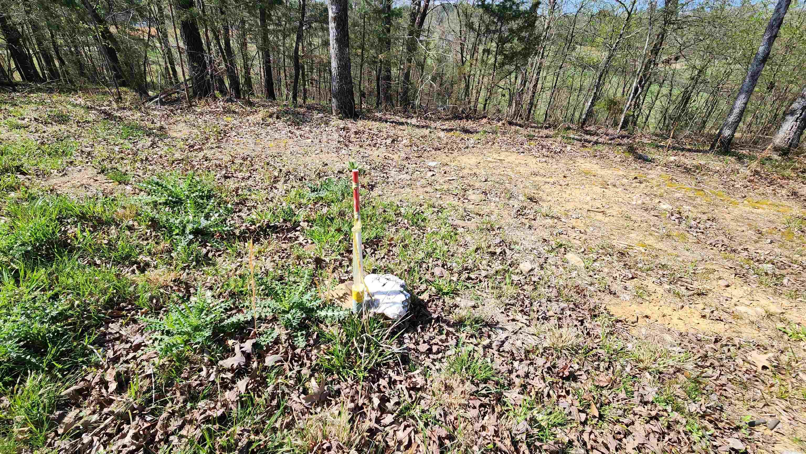 48 Reva's Way  Story, AR