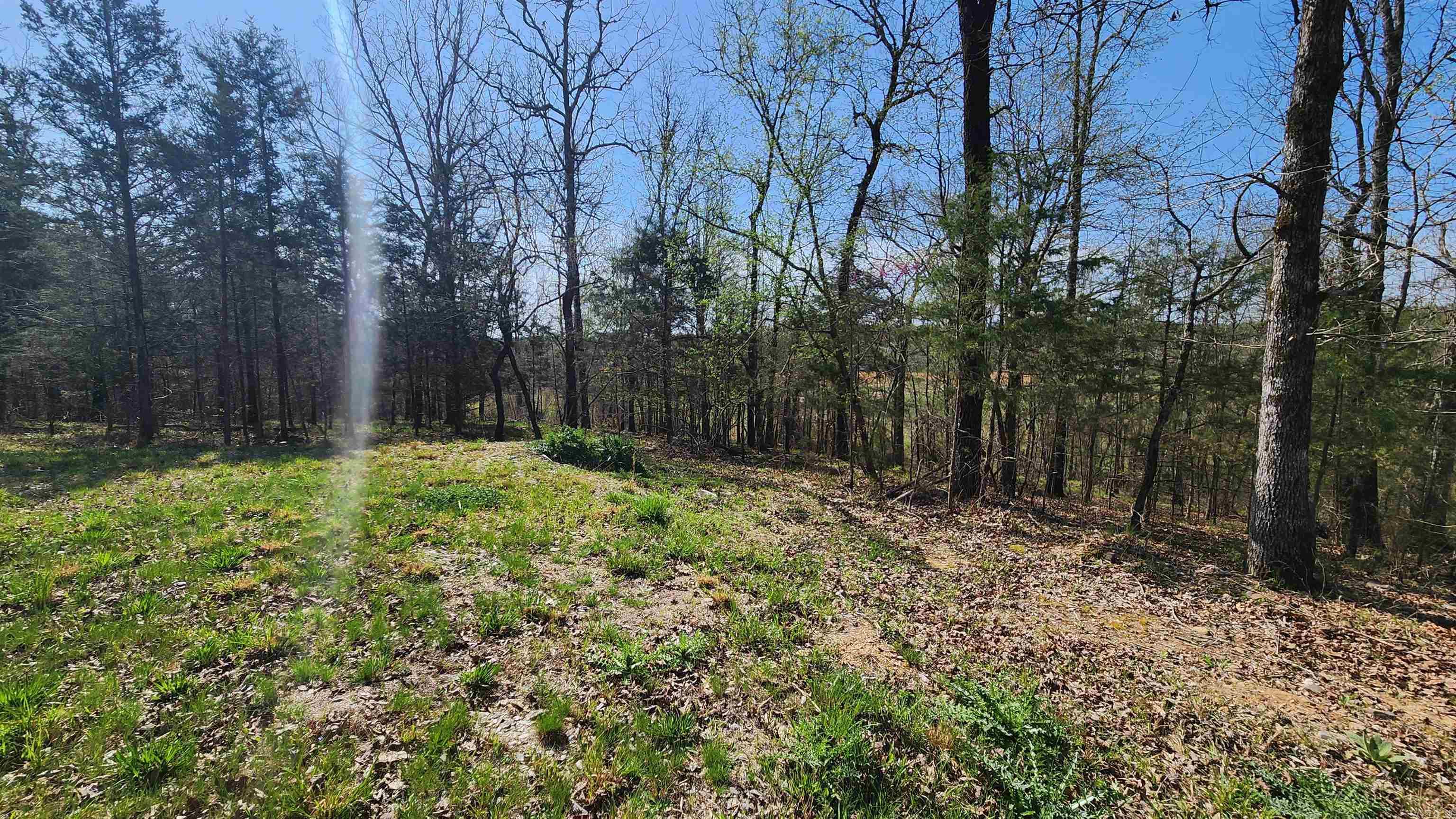 48 Reva's Way  Story, AR