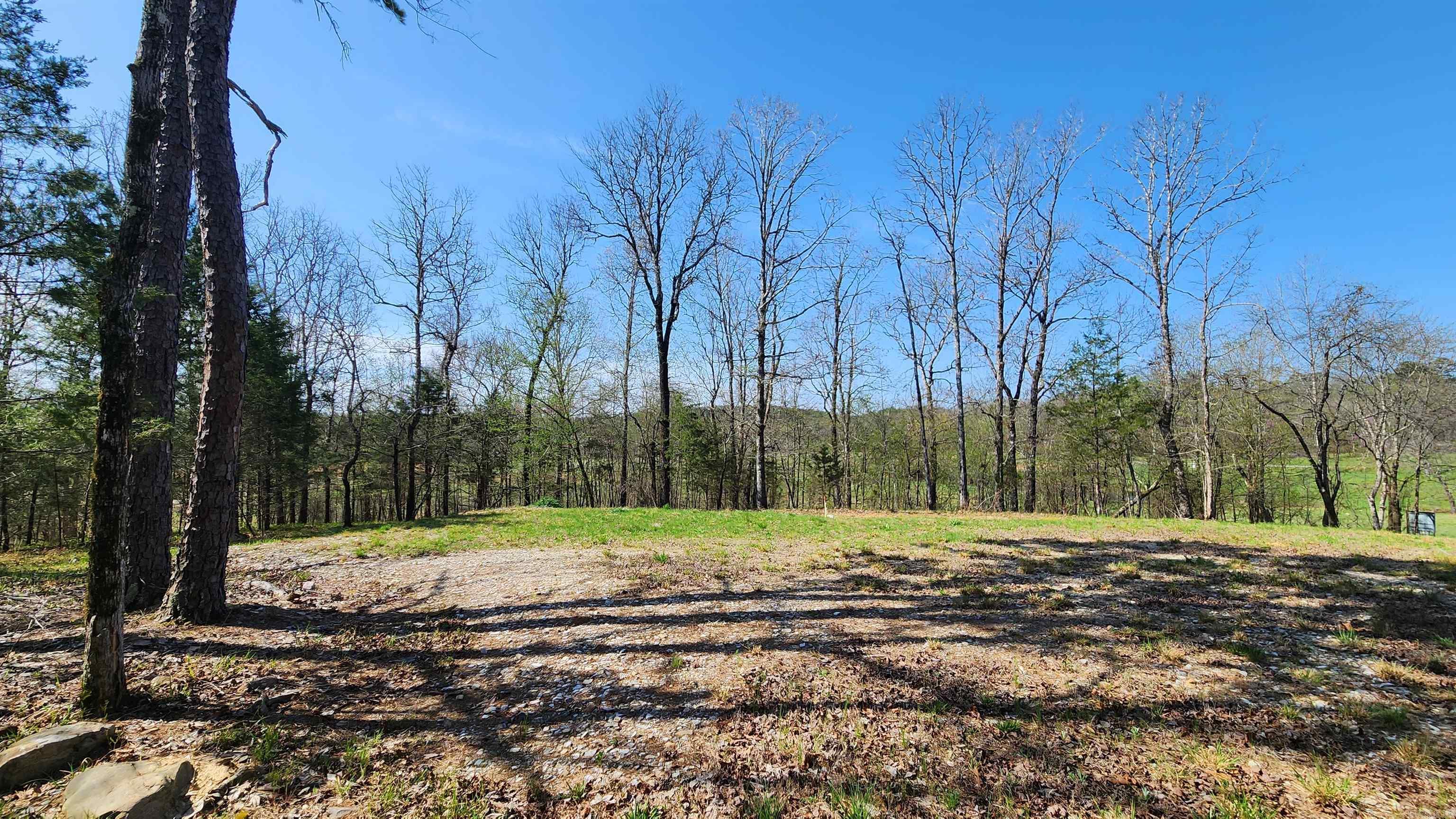 48 Reva's Way  Story, AR