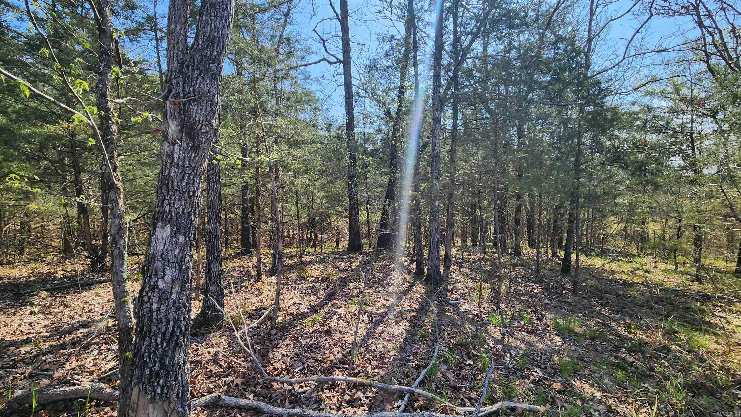 48 Reva's Way  Story, AR