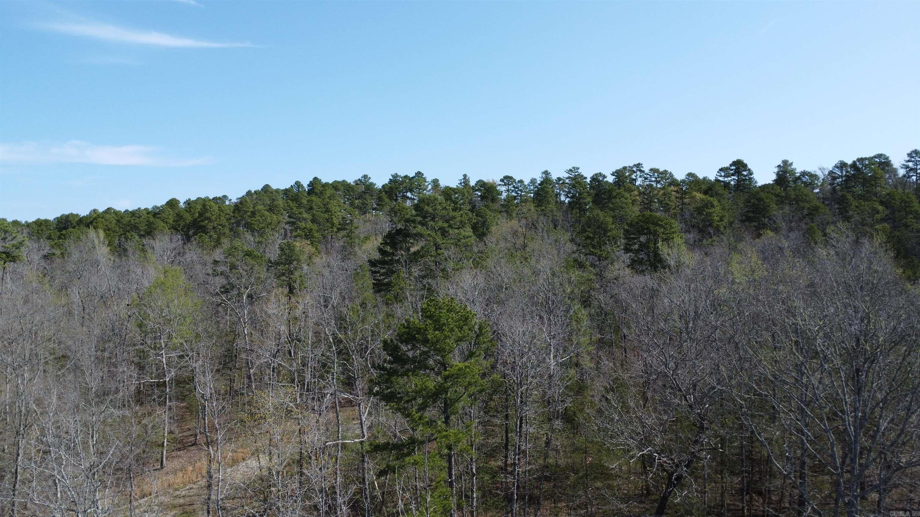 48 Reva's Way  Story, AR