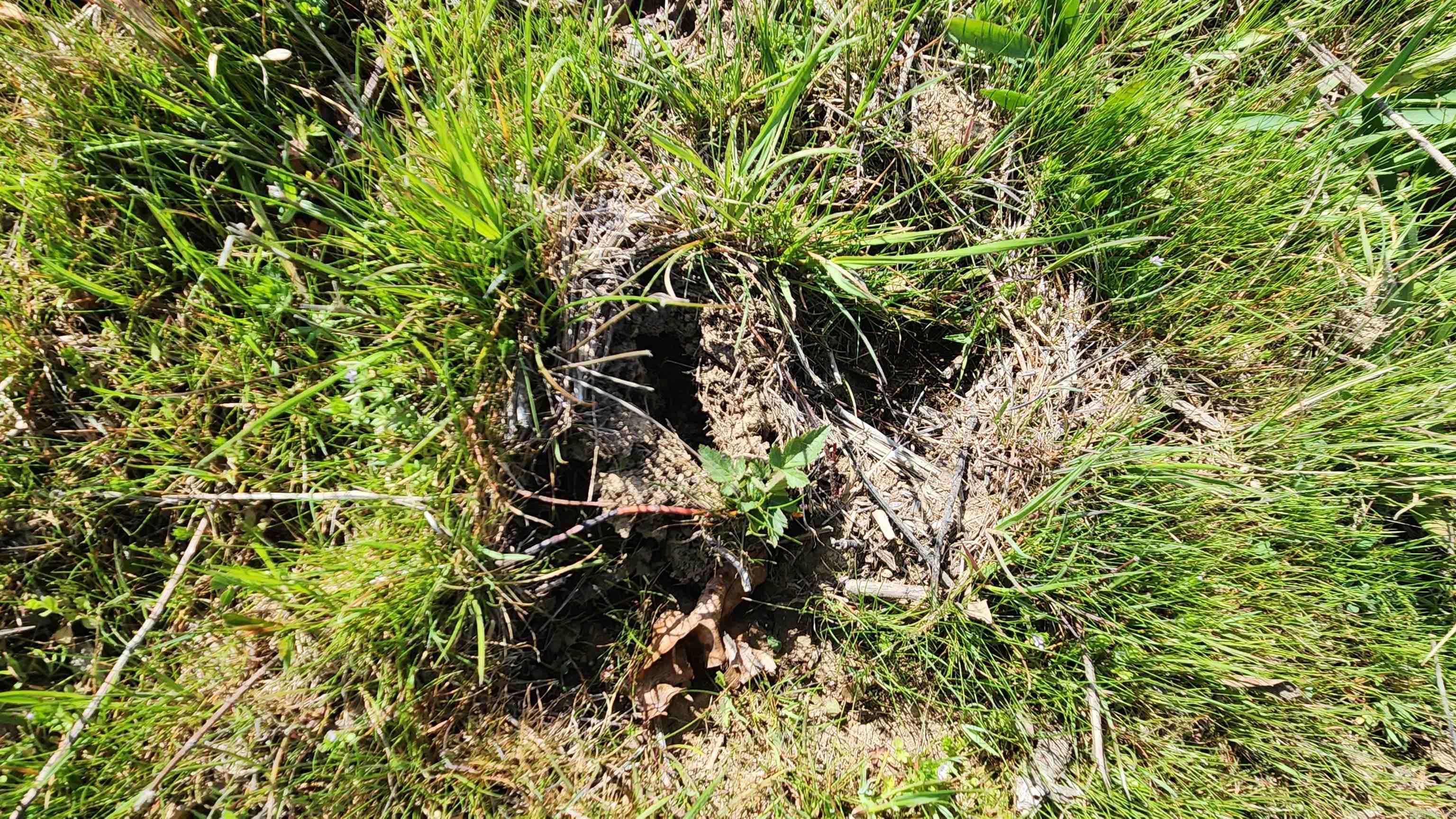 48 Reva's Way  Story, AR