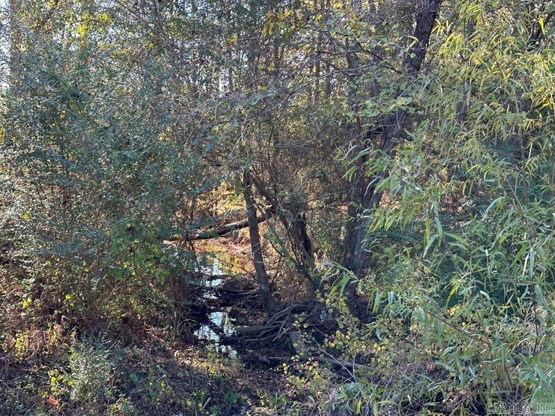 1 Atchley Cemetary rd  Dalark, AR