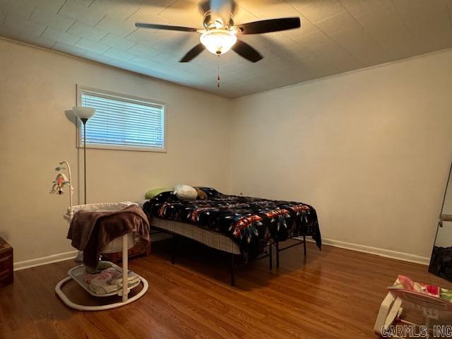 2017 Paula Pocahontas, AR 72455