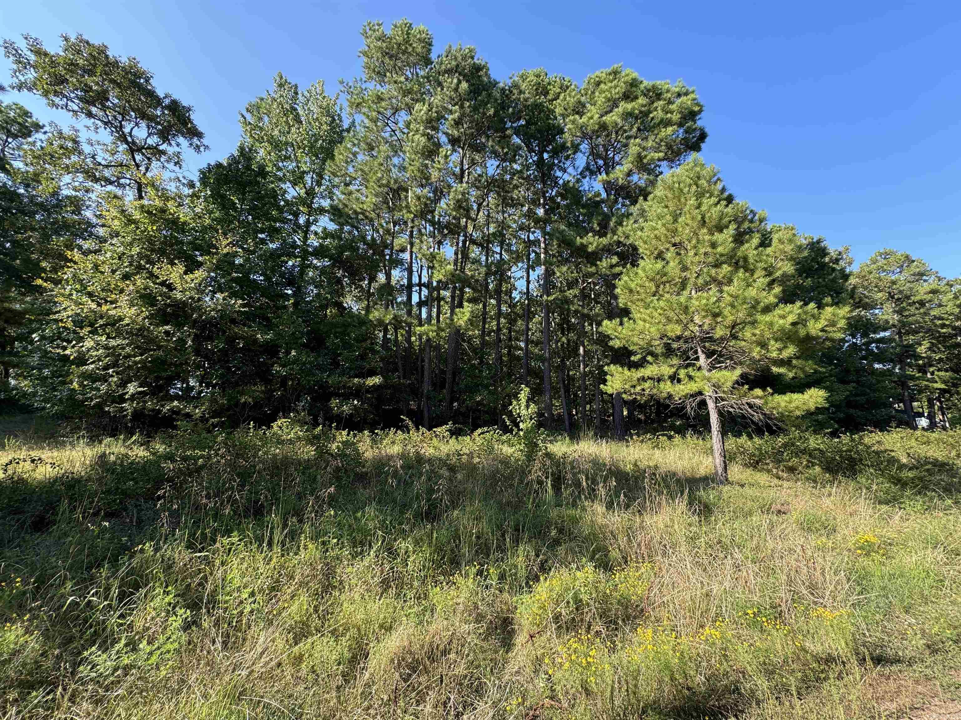 Lot 18 Primrose Creek  Heber Springs, AR