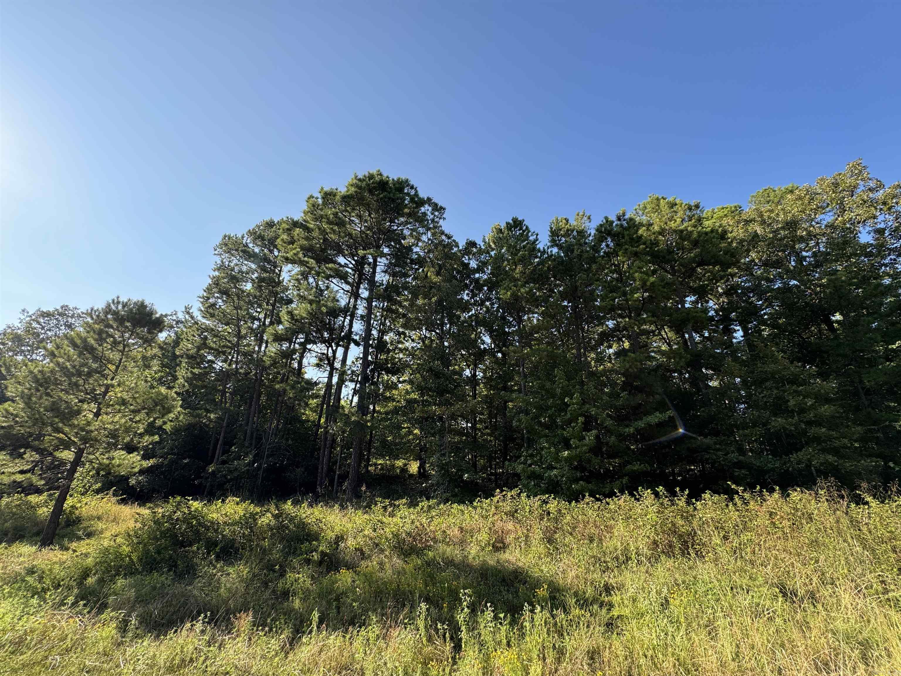 Lot 18 Primrose Creek  Heber Springs, AR