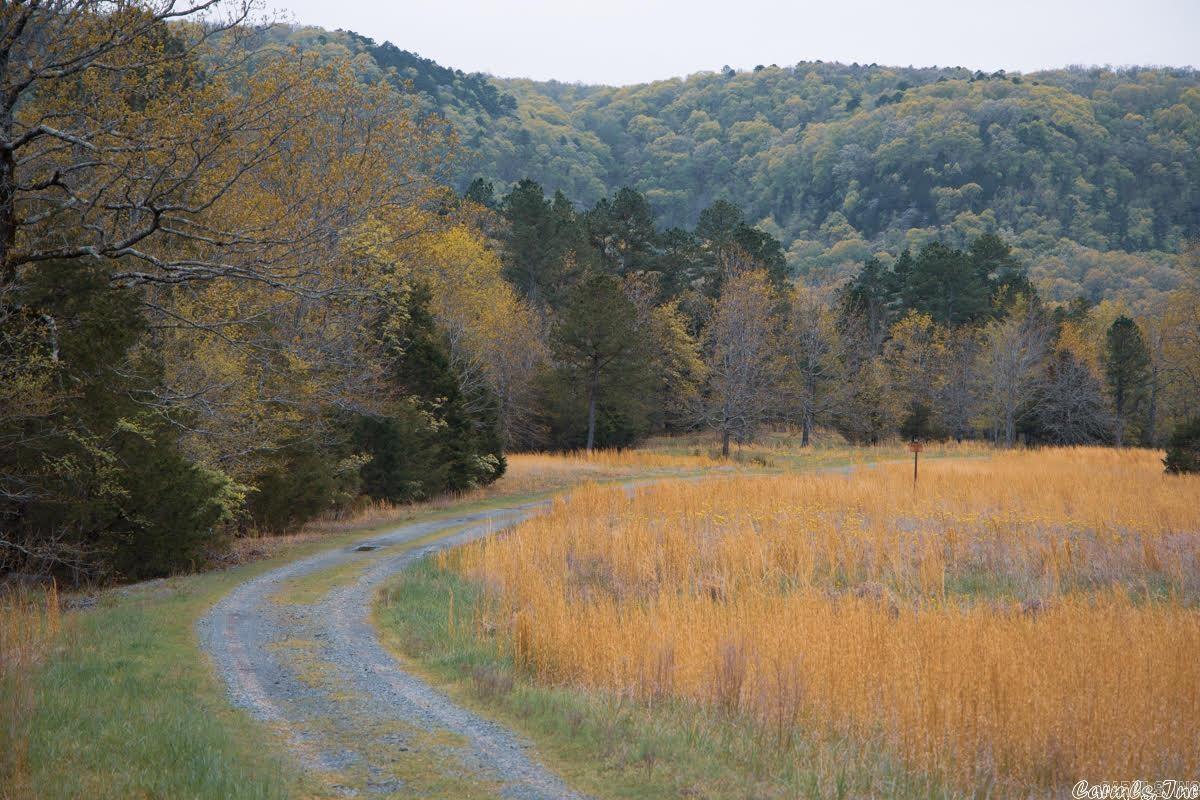 Lot 18 Primrose Creek  Heber Springs, AR