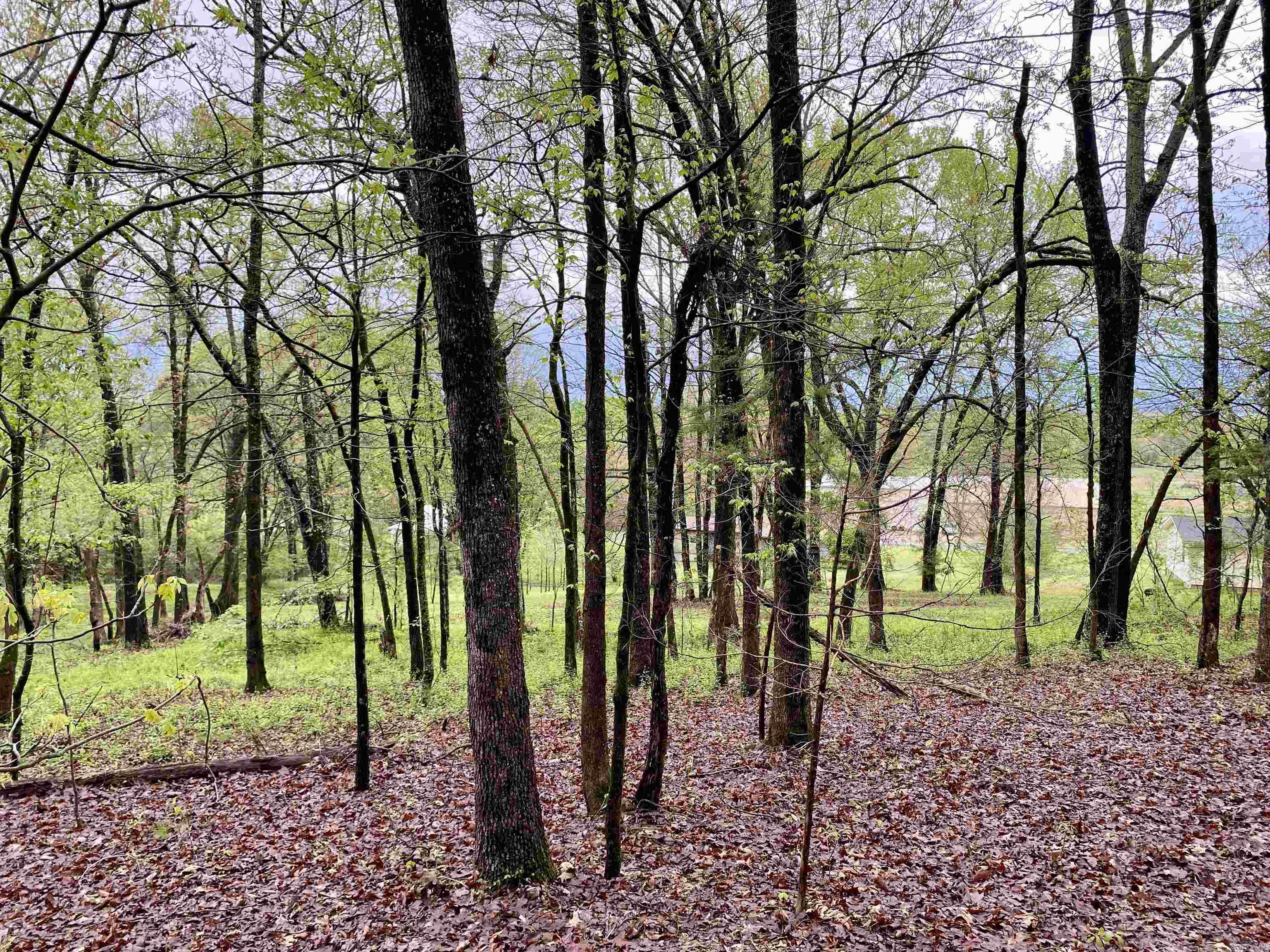 1582 County Road 2305  Hartman, AR