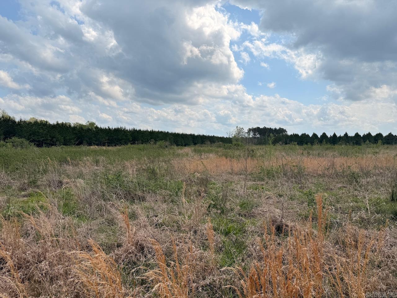  Hwy 172  Monticello, AR