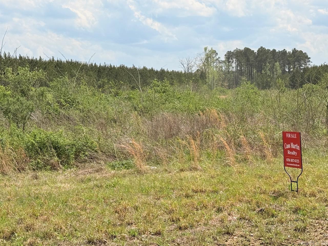  Hwy 172  Monticello, AR