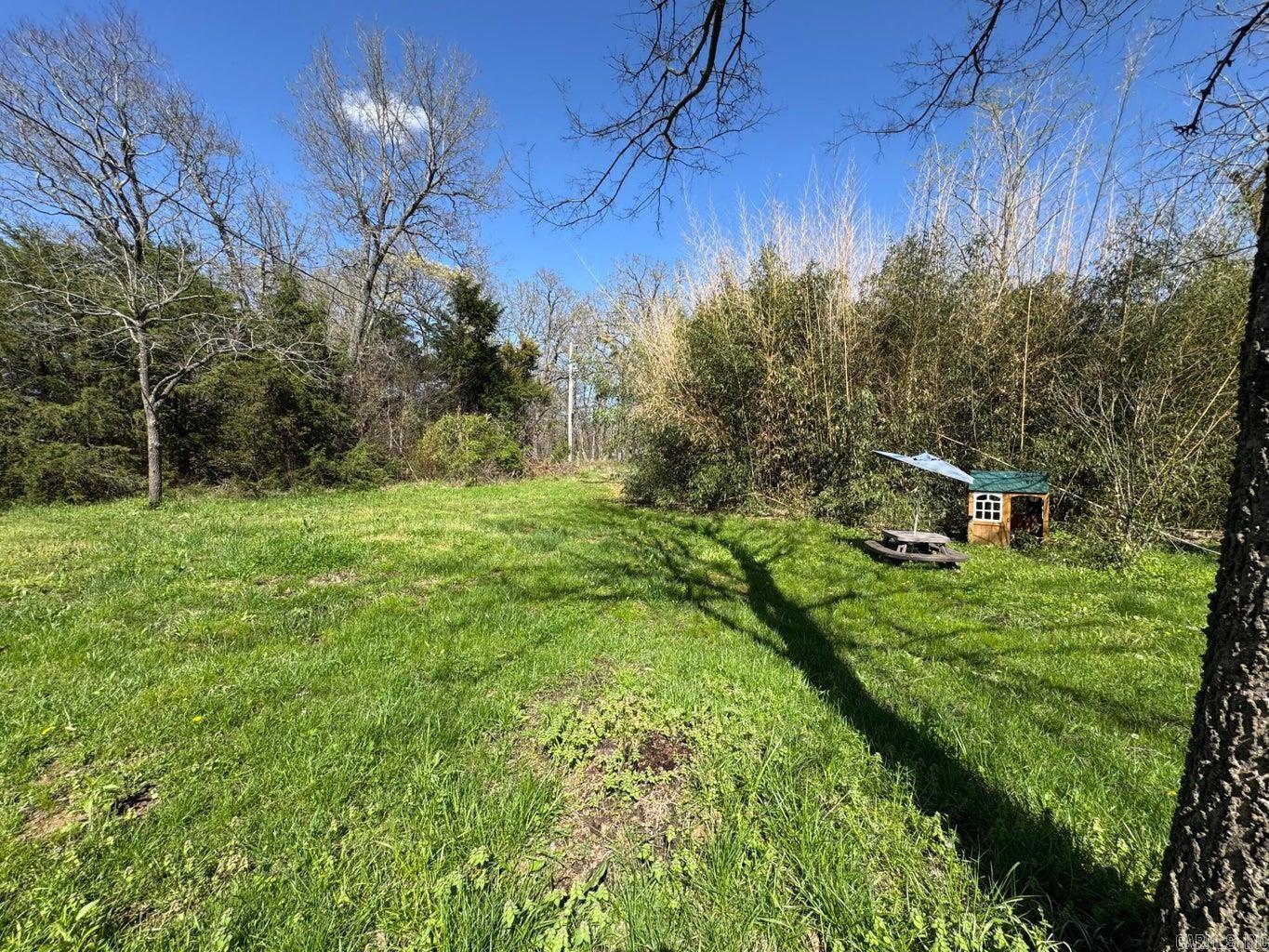 95 Terrafirma  Ash Flat, AR