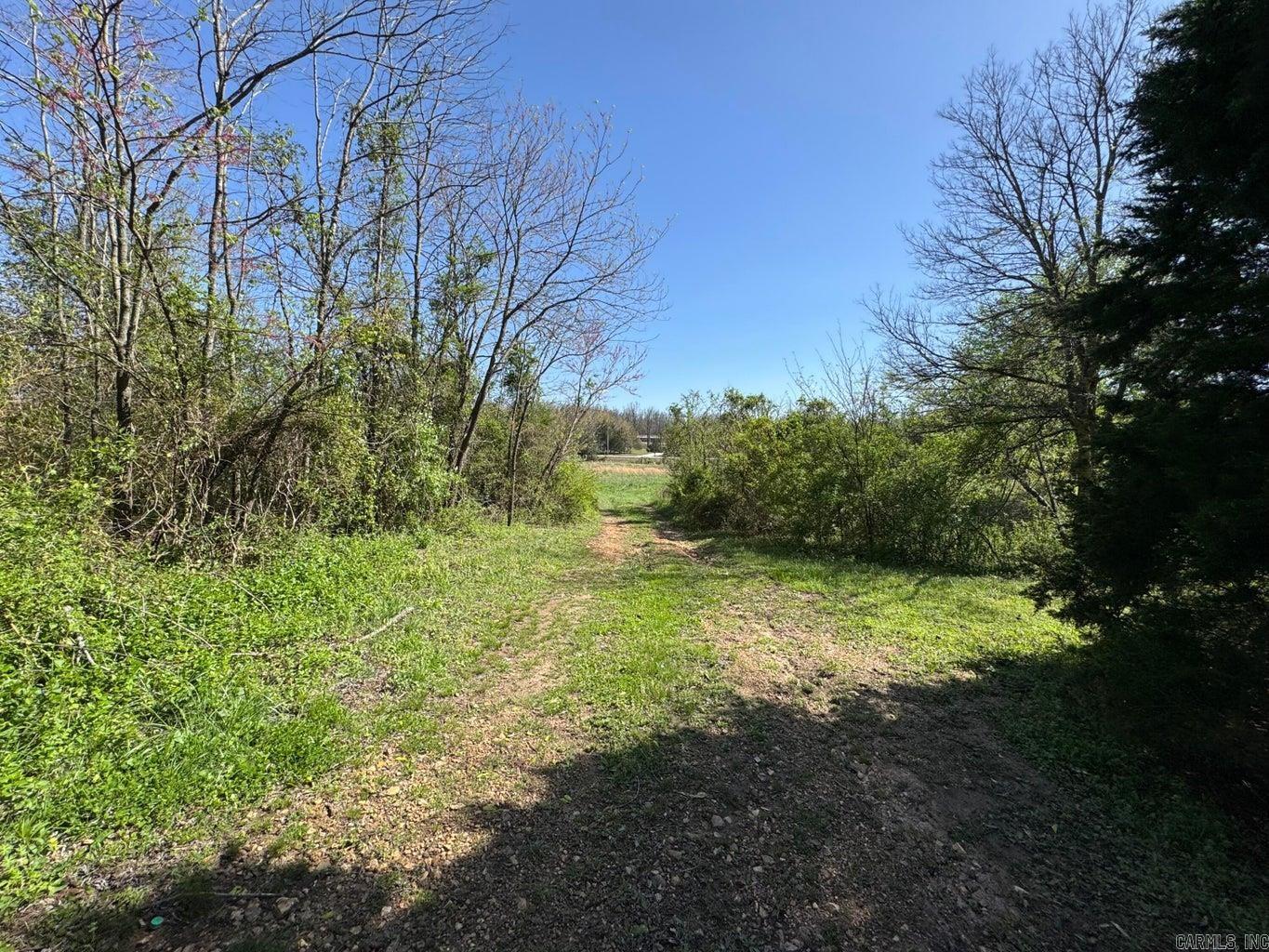 95 Terrafirma  Ash Flat, AR