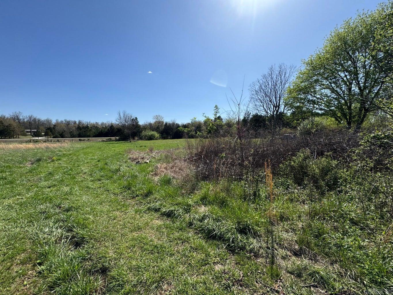 95 Terrafirma  Ash Flat, AR