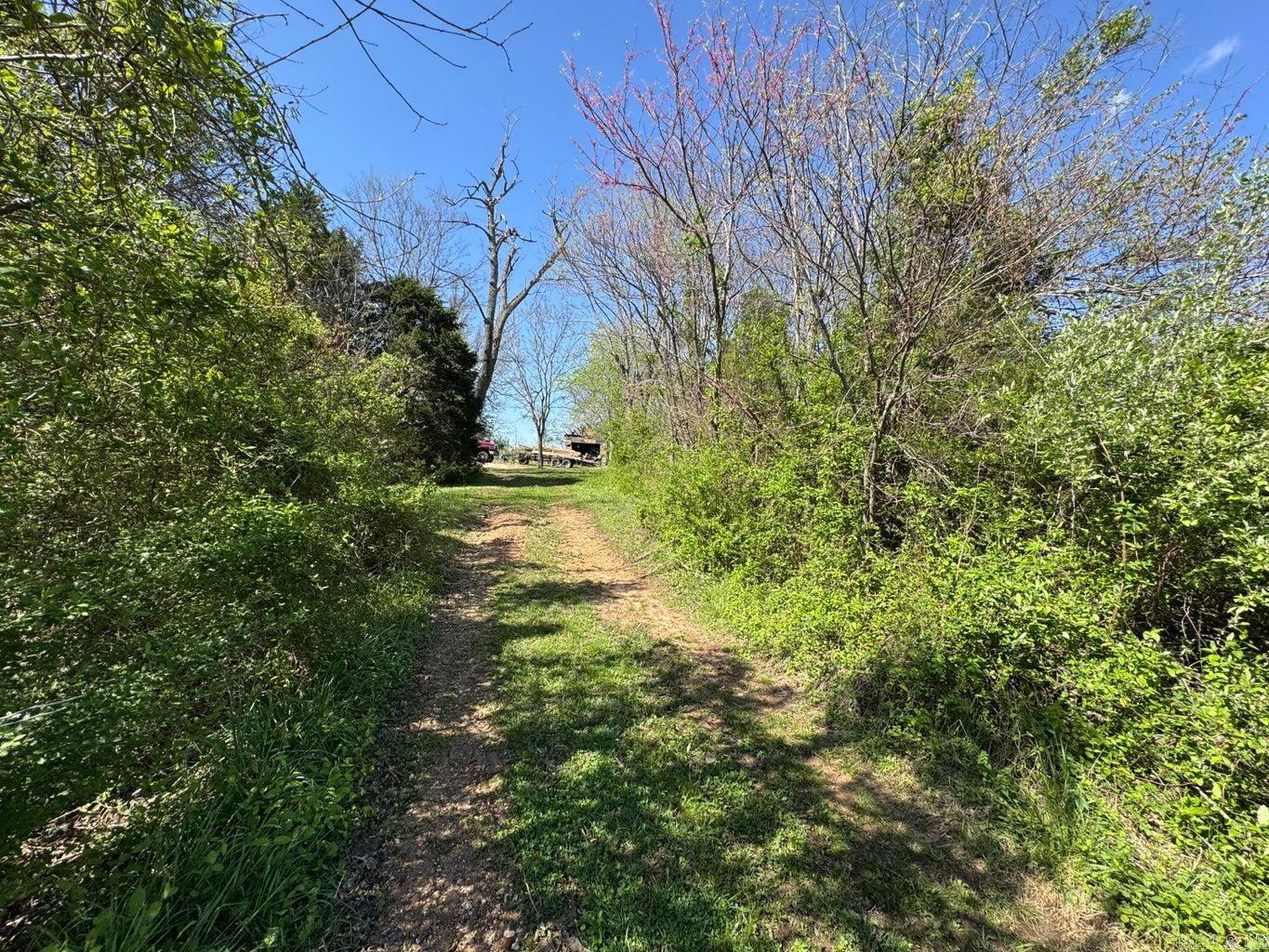 95 Terrafirma  Ash Flat, AR