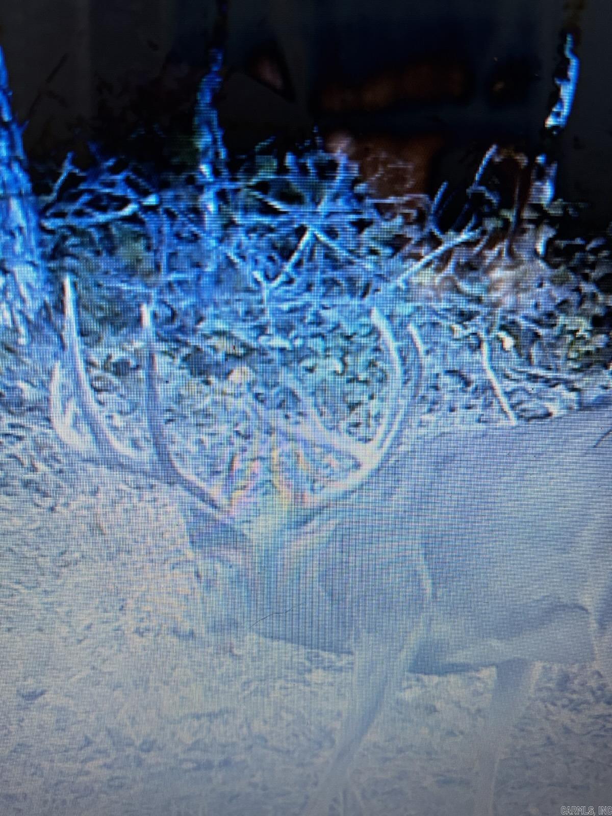 529 Mayfield  Flippin, AR