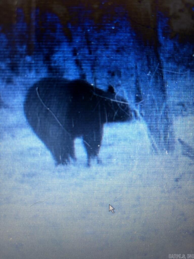 529 Mayfield  Flippin, AR